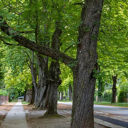 Garden Szallashely Kwatera prywatna