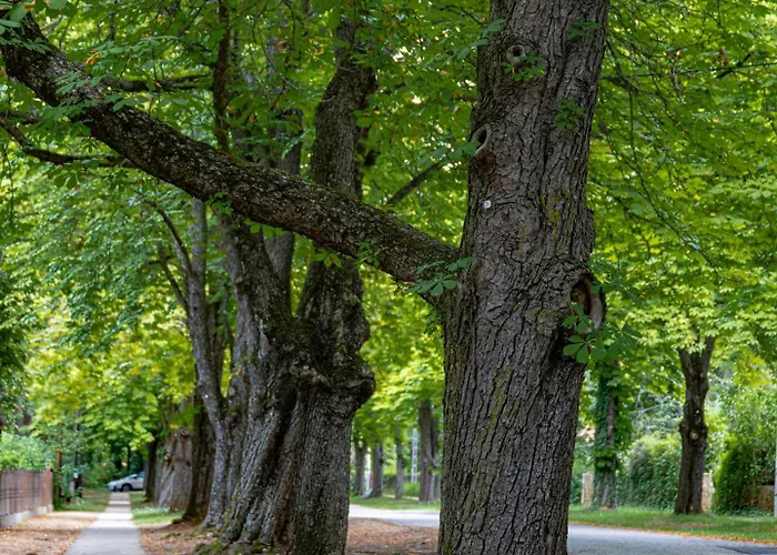 Garden Szallashely Homestay