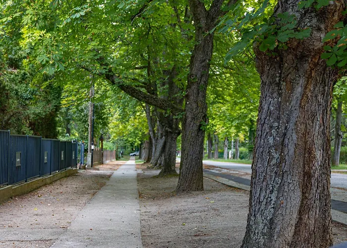 Garden Szallashely * Balatonszemes